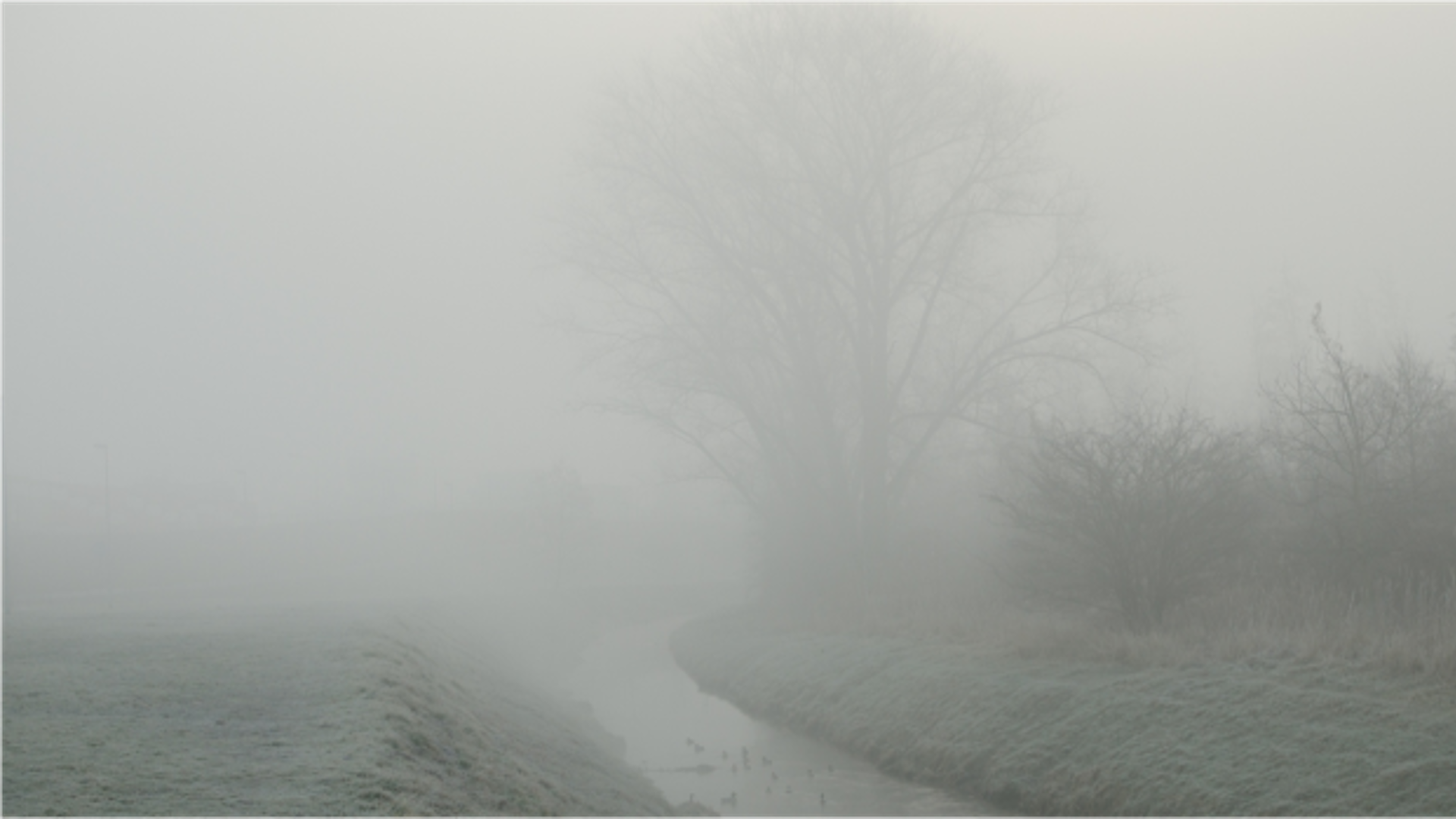 Sponsor Smarter: Clear Structures for Complex Projects